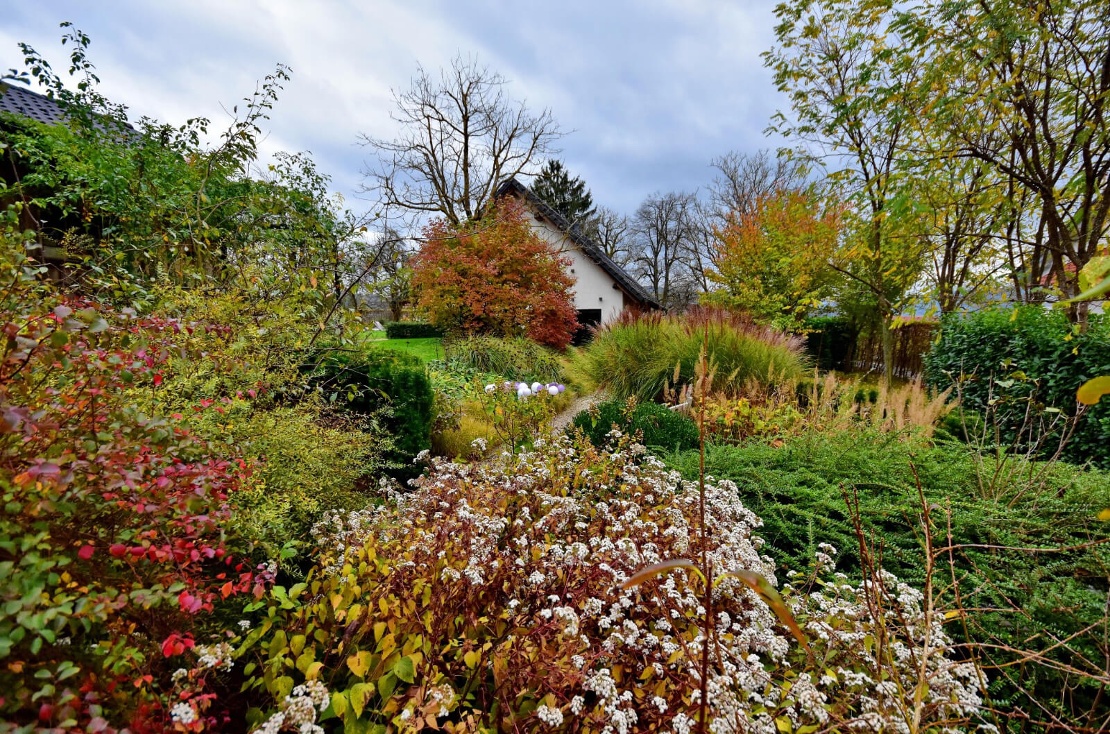 Autumn garden